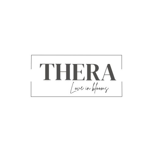 THERA photo 3