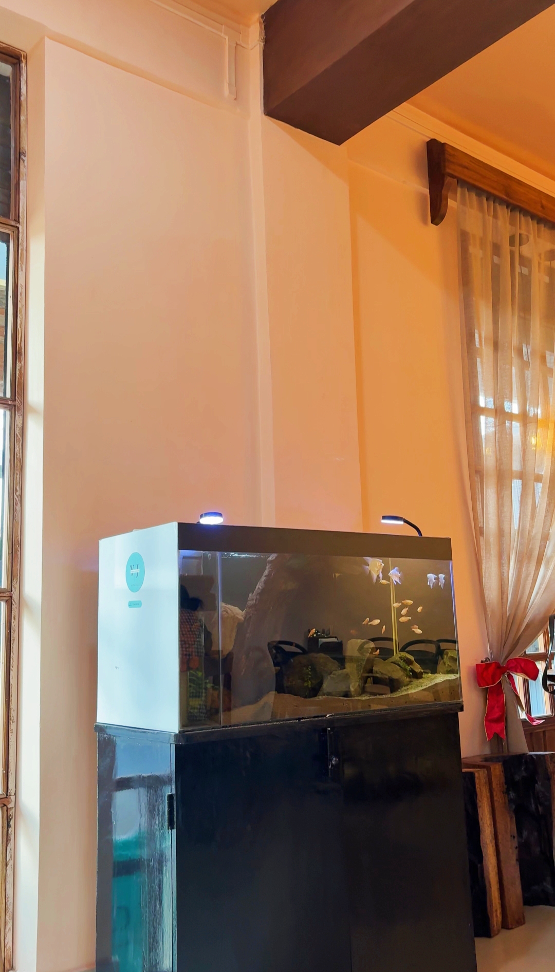 Yj Aquavision photo 1
