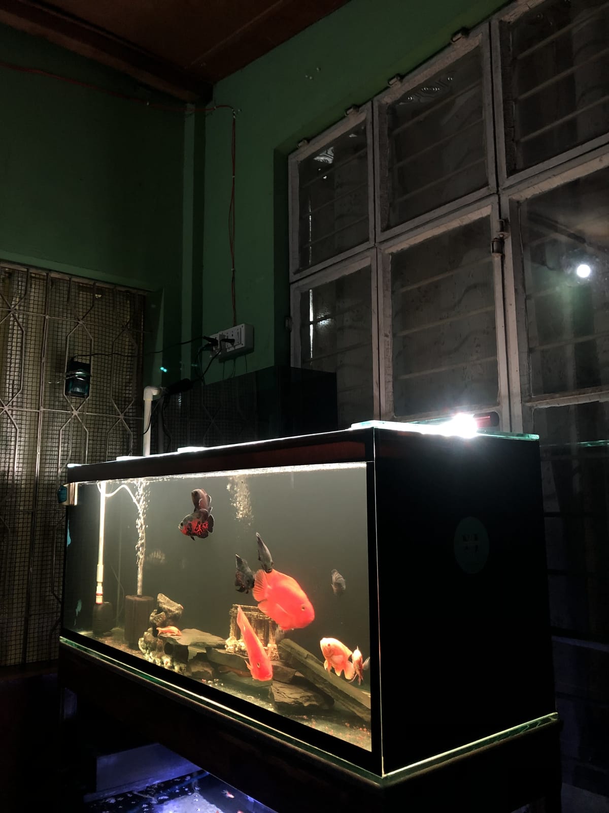 Yj Aquavision photo 3