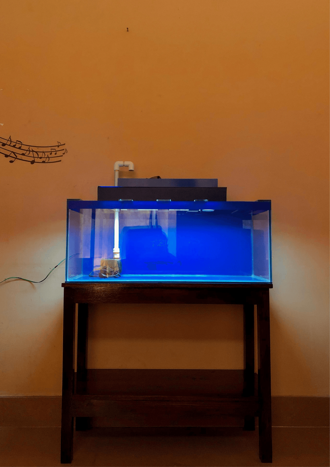Yj Aquavision photo 4