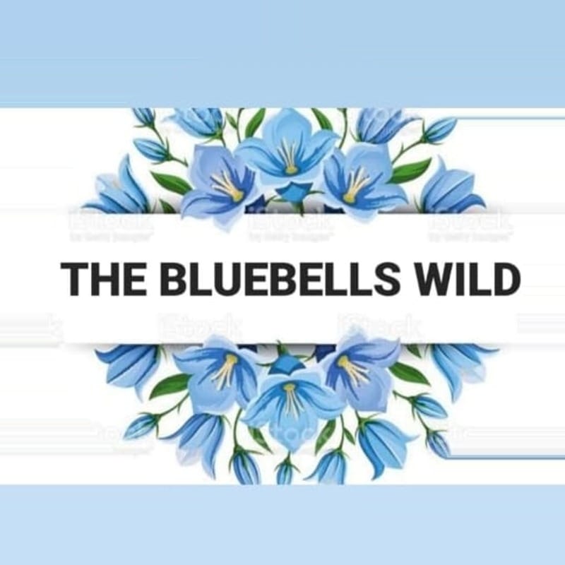 The Bluebells Wild logo